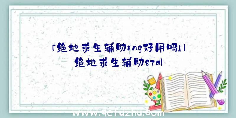 「绝地求生辅助rng好用吗」|绝地求生辅助87dl